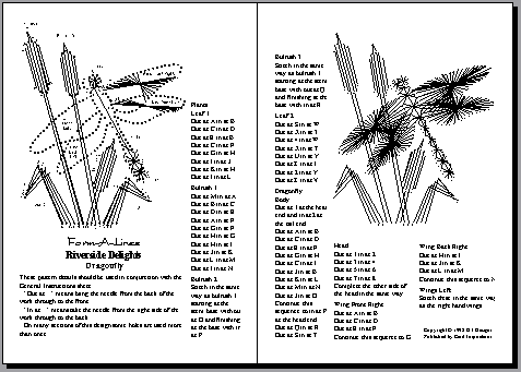 Double page view of instructions